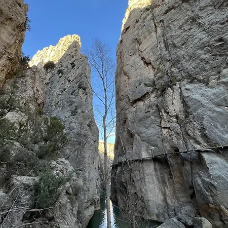 Daire Jumidosiv Aliaga